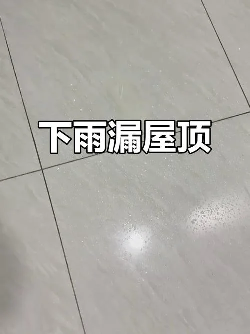 梦见屋顶漏了_1