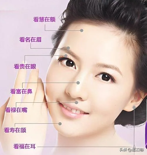官夫人的面相都很贵气_1