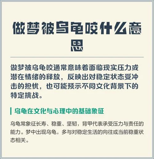 孕妇梦到乌龟是什么意思_2