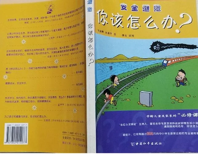 怎么办的作者是谁_2
