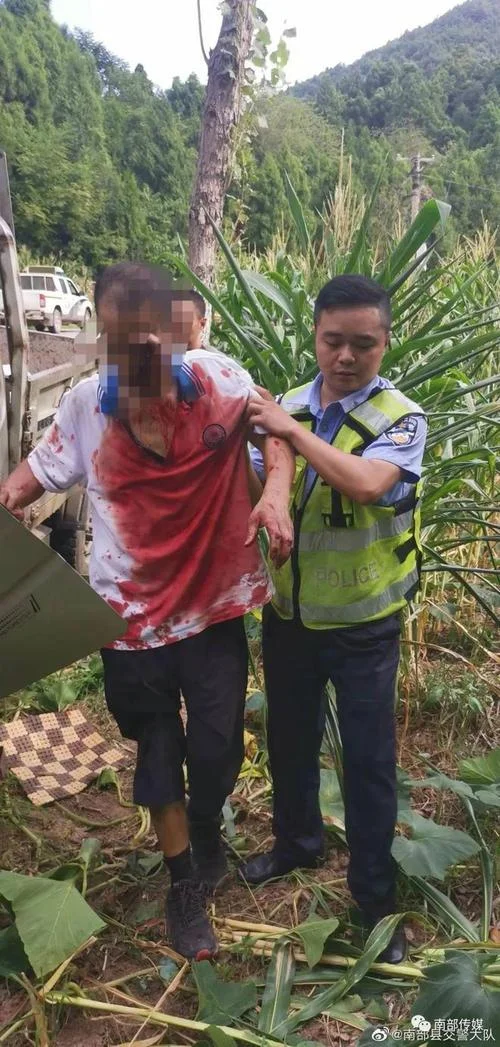 梦见车祸见血_1