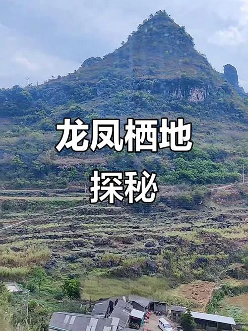 梦见找到风水宝地_1