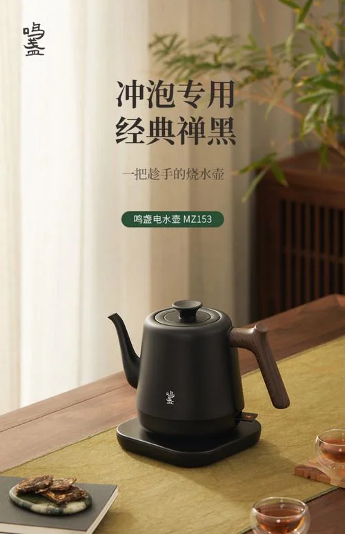 泡茶烧水壶哪个牌子好_1
