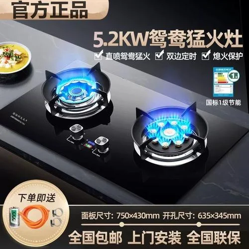 十大品牌燃气炉_2