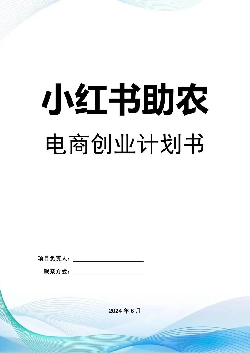农村电商项目计划书-农村电商项目规划