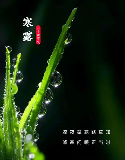 寒露这天出生的女孩叫什么名字-寒露女孩取名