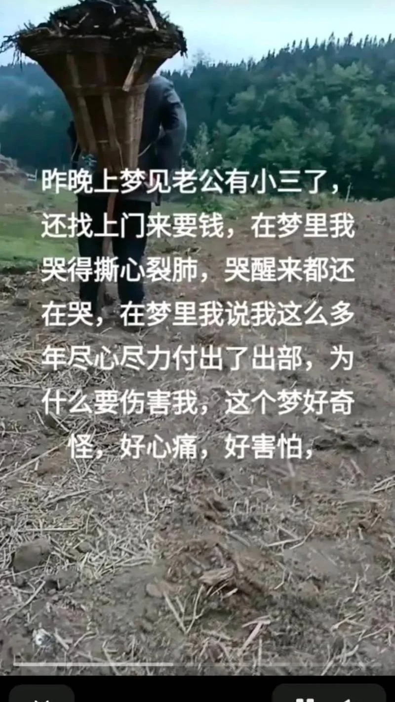 梦见他来找我_2
