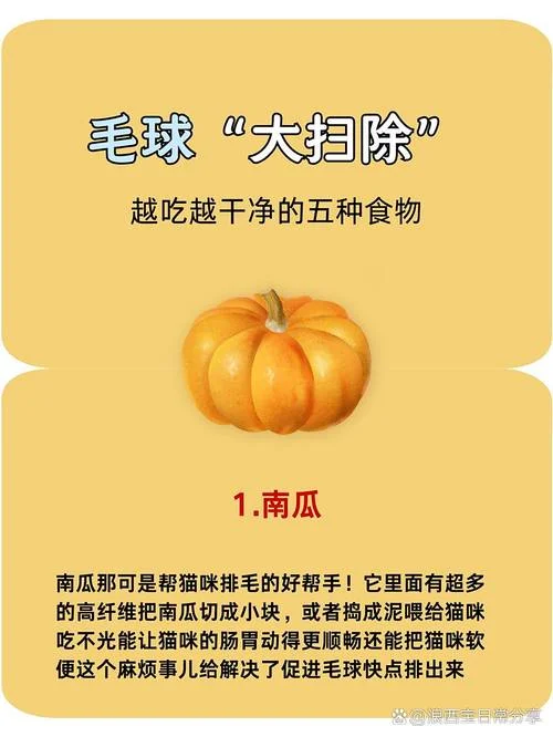 猫咪几月份掉毛-猫咪几月掉毛