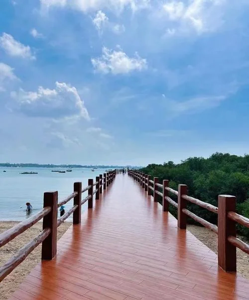 湛江有什么景点好玩的_1
