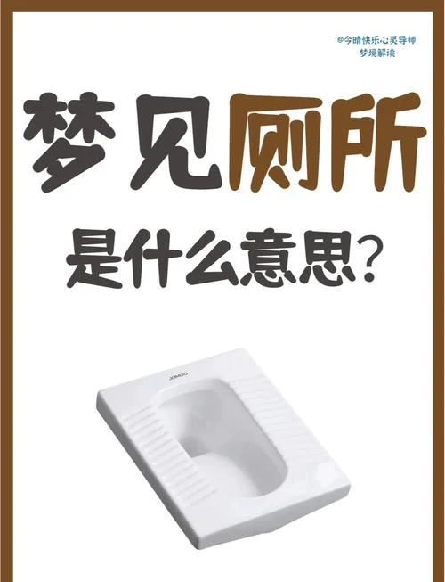 梦见厕所粪便很慢_1