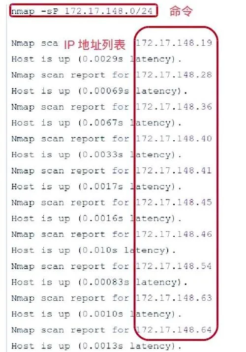 如何查游戏服务器ip_2