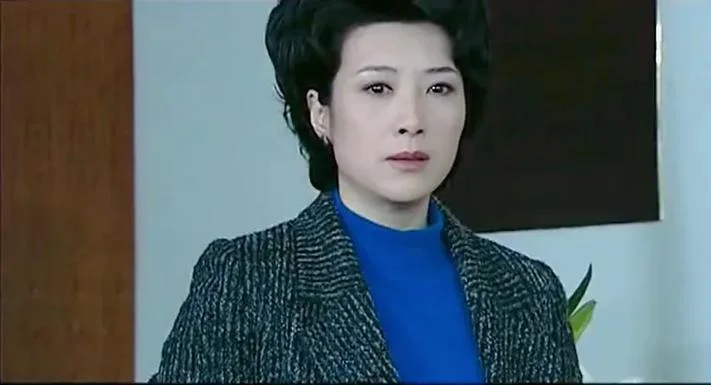 电视剧我本英雄剧情_2