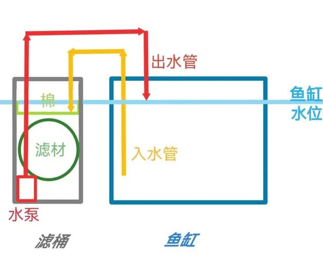 鱼缸粪便收集器原理-鱼缸粪便收集原理