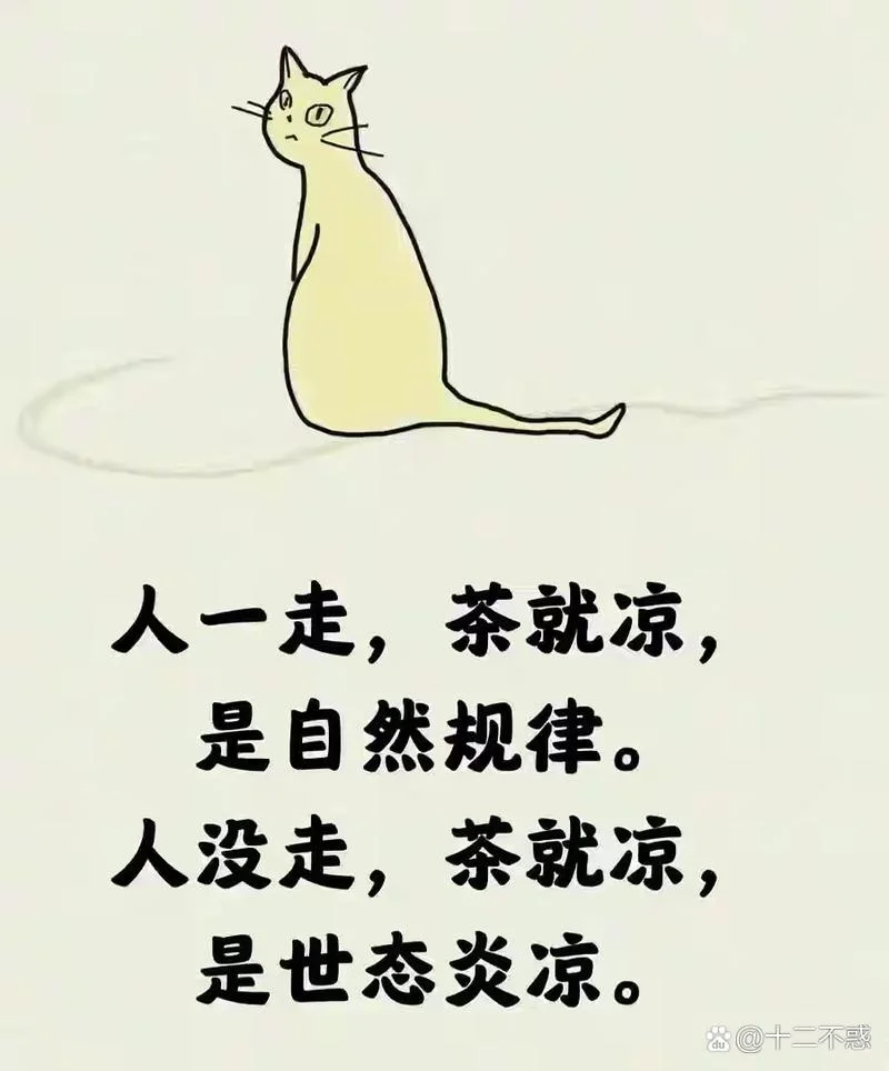 人走茶不凉是什么意思-人走茶不凉含义