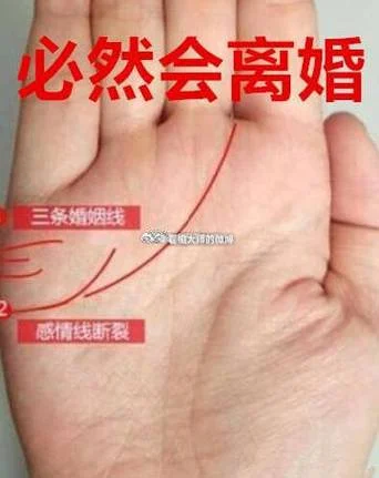 男女的手相怎么看_1