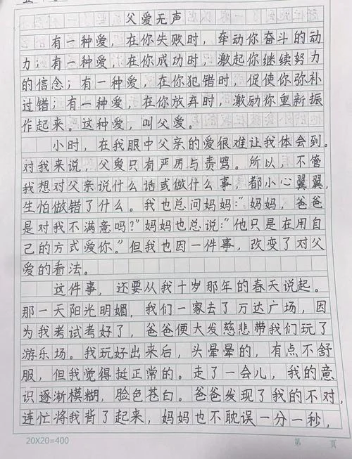 父爱的速度读后感_1