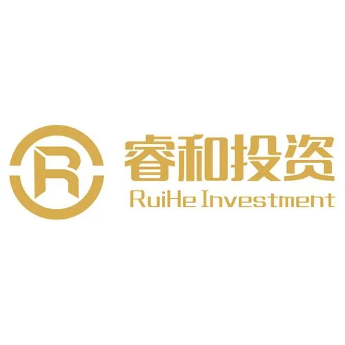 什么叫投资有限公司-10 字以内定义
