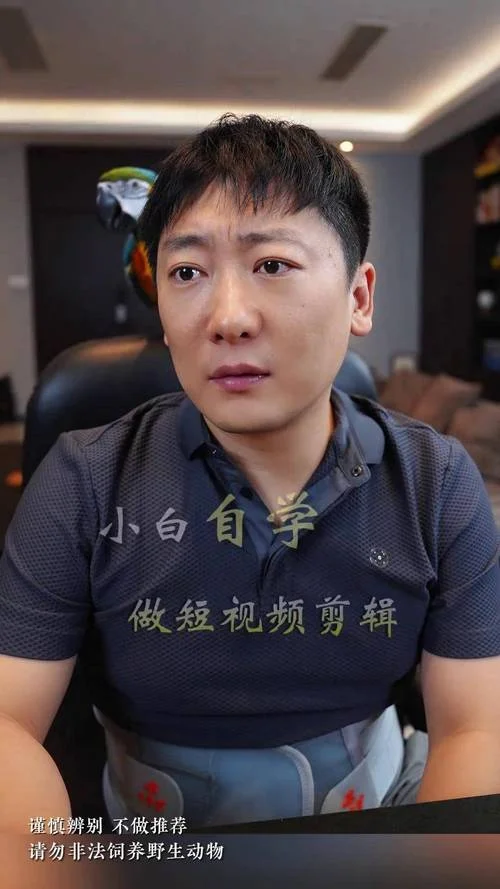 参哥的公司叫什么-参哥公司名是多少