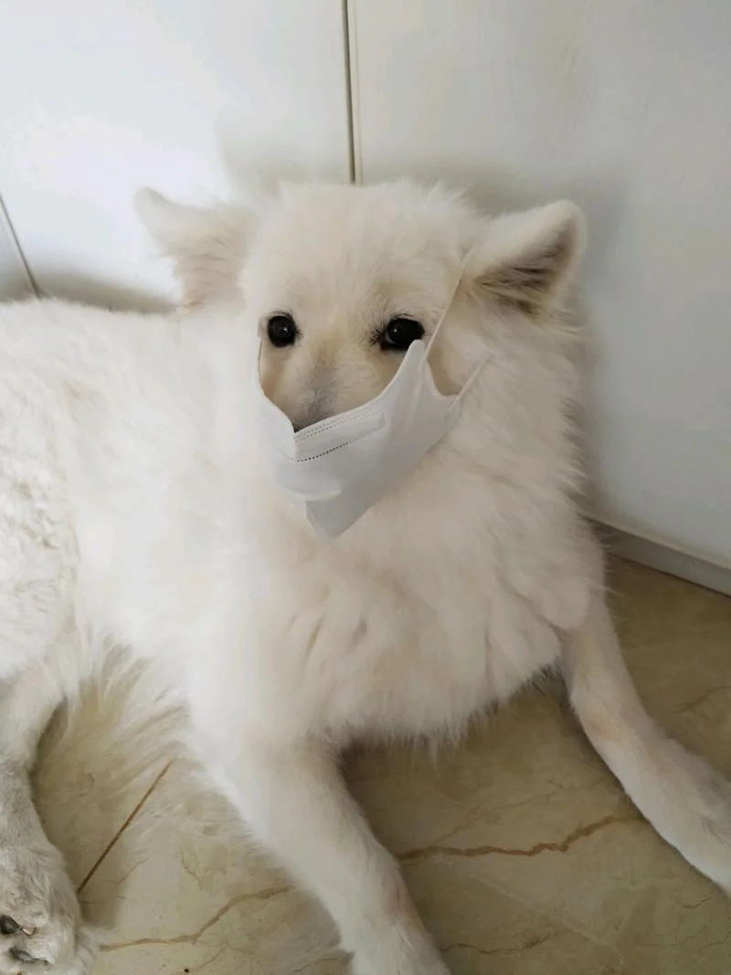 梦见从嘴里往外拉东西_2