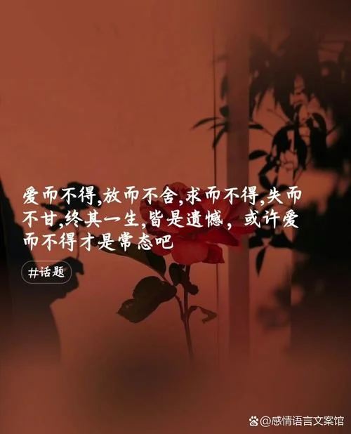 爱会消失下一句是什么-爱会消失下一句