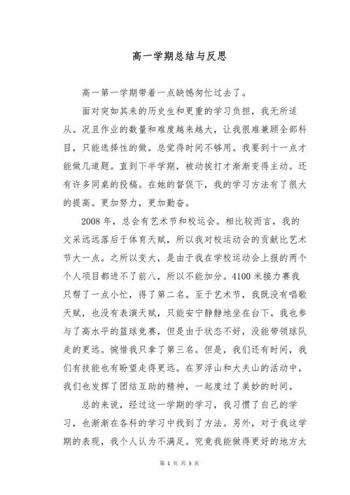 高中经历总结怎么写_2