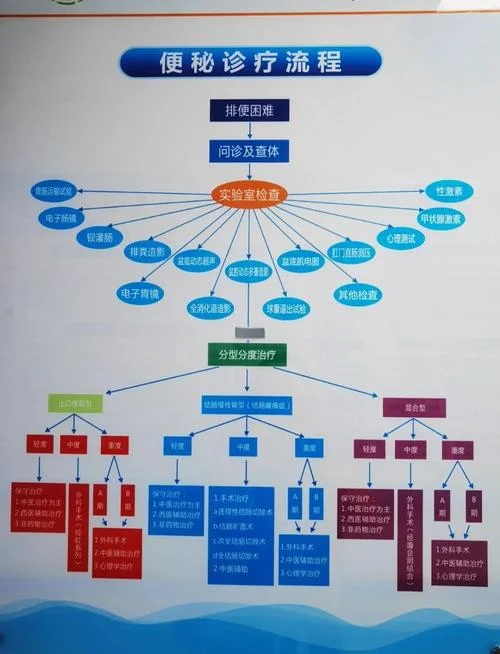 便秘要如何查_2