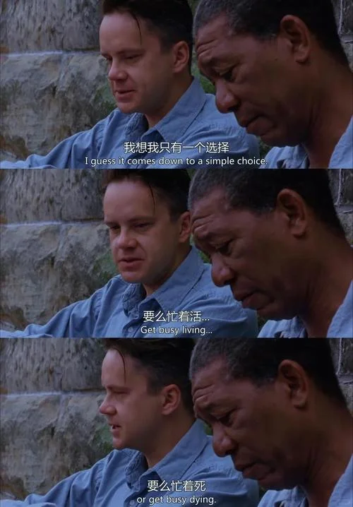 肖申克的救赎瑞德结局-肖申克瑞德结局