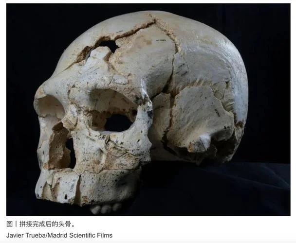 梦见人头骨是什么意思_1