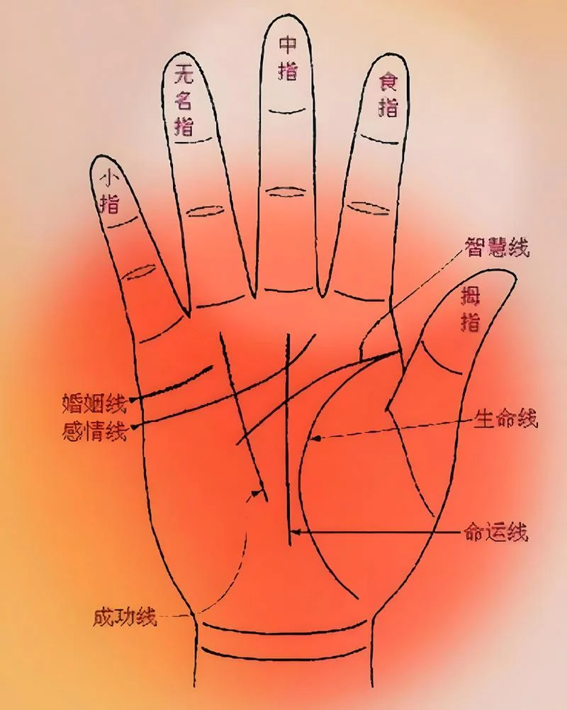 有钱人的手相特征图片_2