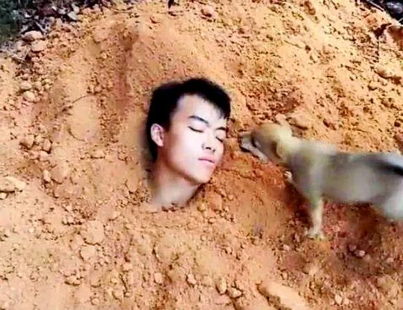 为什么梦到埋人_1