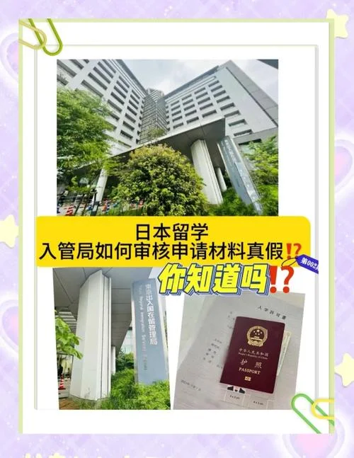 留学归哪个部门管_1