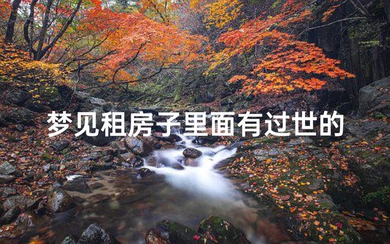 梦到从租房子找房子_2
