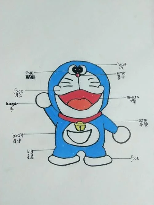 关于身体部位的英语手抄报_1
