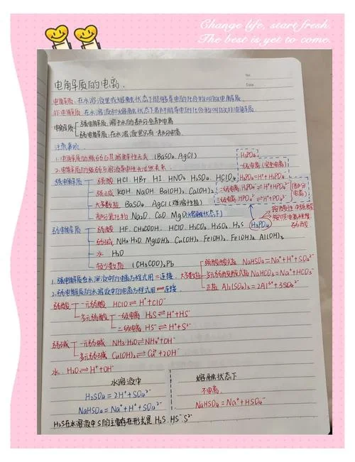 电解质概念是指什么_1