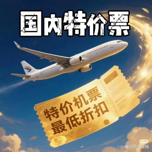 航空公司客票使用条件_2