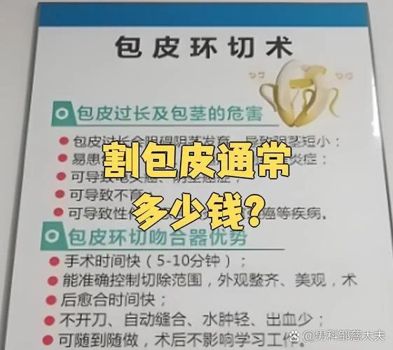 割包皮环切要多少钱-割包皮环切费用