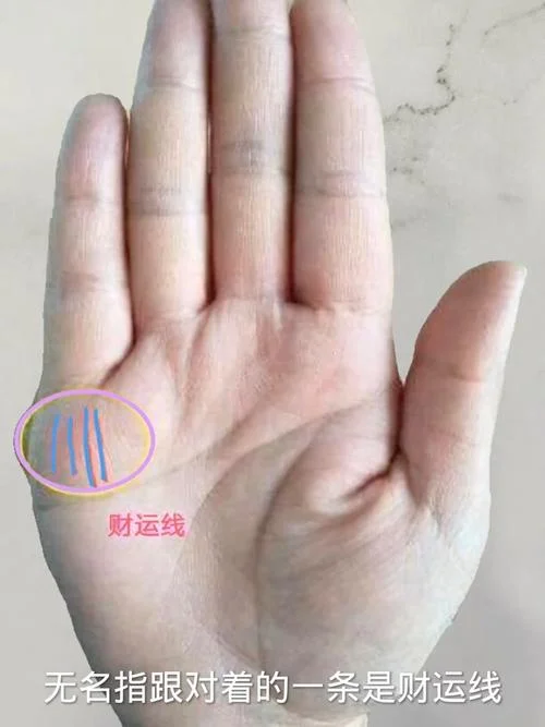 手相有横财命-横财命在手相