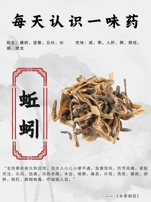 养殖地龙一亩利润多少_1