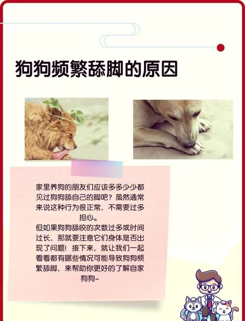 梦见小狗来家里_1