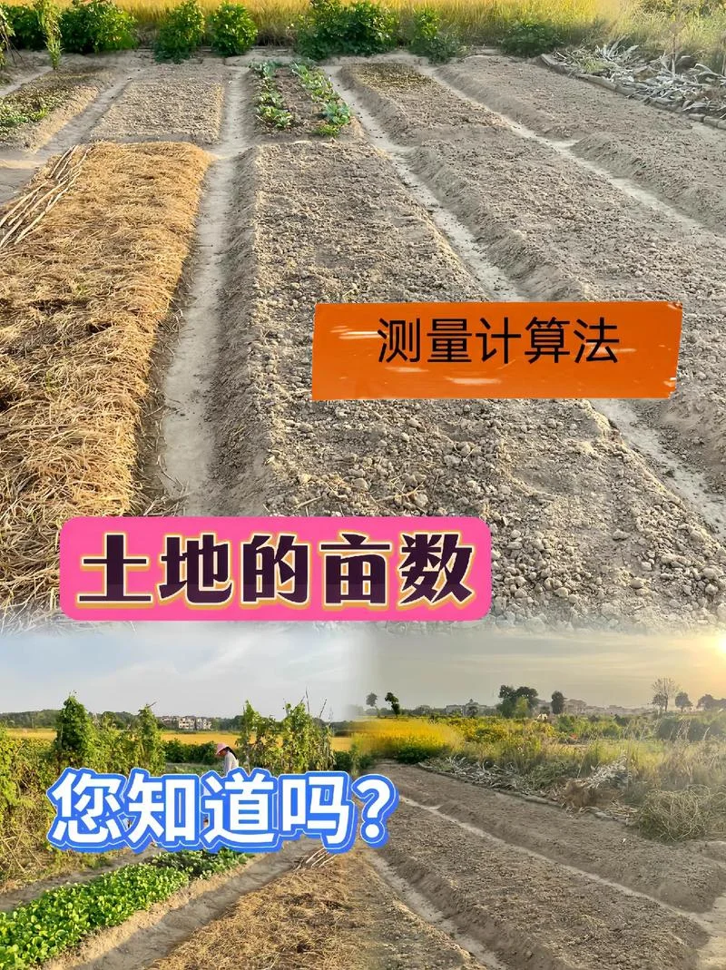 15亩等于多少平方米_2
