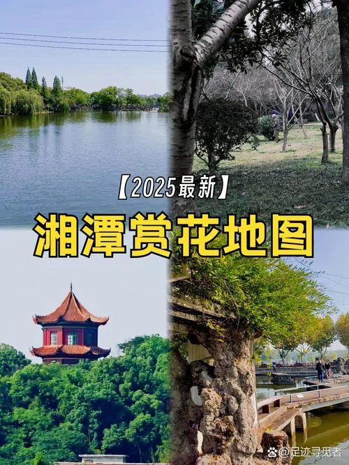 长沙桃子湖在哪里-长沙桃子湖地点