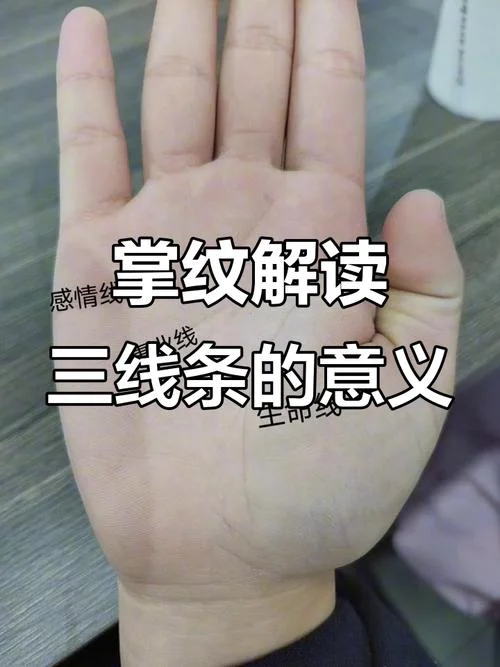 手相三条智慧线_2