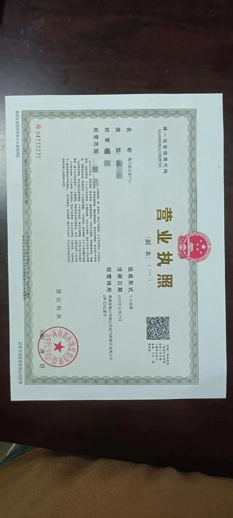 企业自然人独资是什么意思_2