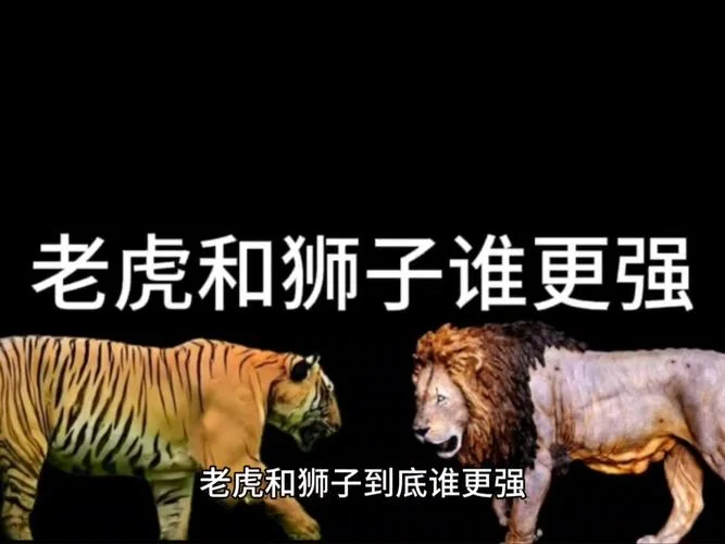 梦见打死老虎蛇狮子_1