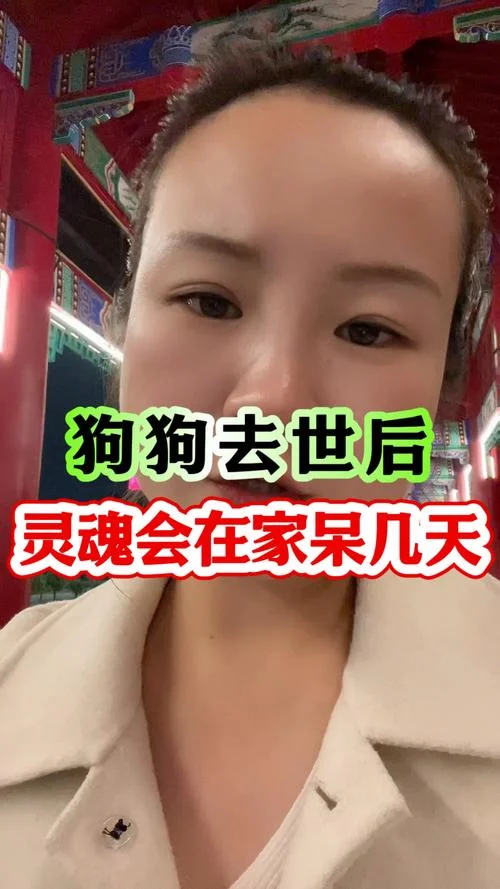 梦见别人家狗死啦_2