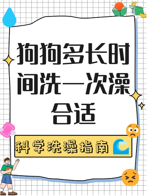 梦见别人给他狗狗洗澡_1