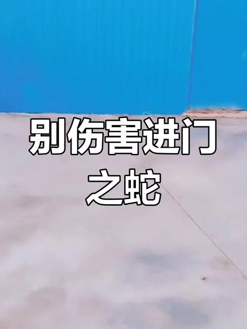 梦见大蛇在家里_1