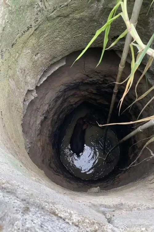 梦见水井无水_2