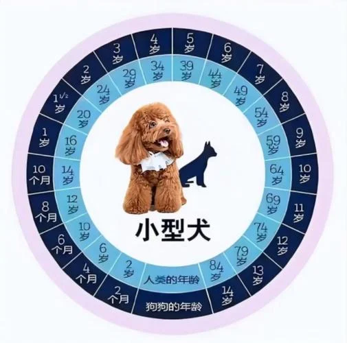 属狗2018年多大岁数_1