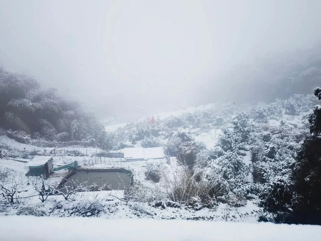 雪满山窗_1